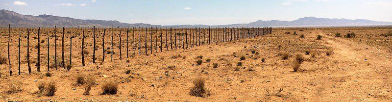 Mark Bennett: Like Vigo, rural county in New Mexico reflects America's presidential will